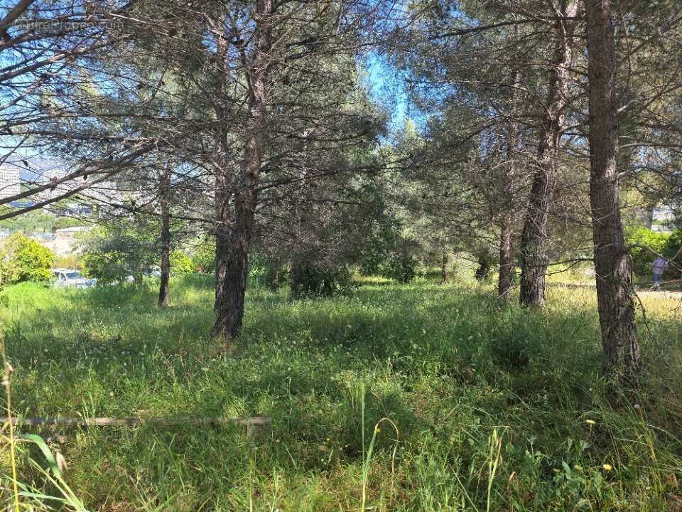 Terrain 706 m² à La Seyne-Sur-Mer  - photo 3