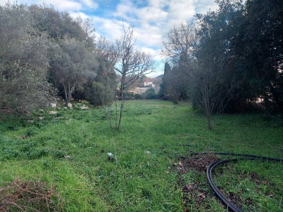 Terrain à CAMPS-LA-SOURCE