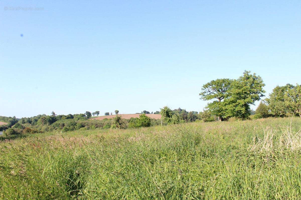 Maison à SAINT-BRANDAN