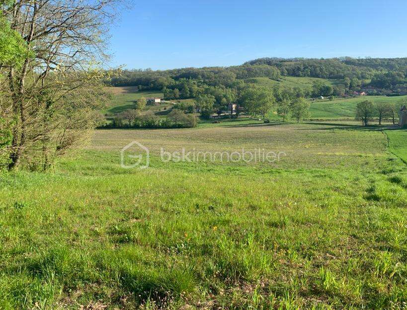 Proche d' Auch - Propriété de 27ha avec Château - photo 11