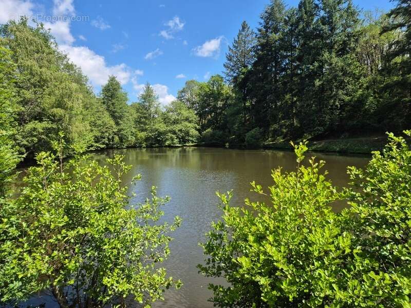 Terrain à PRESSIGNAC
