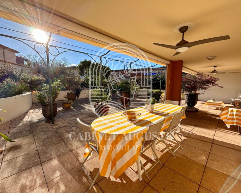 Immense terrasse