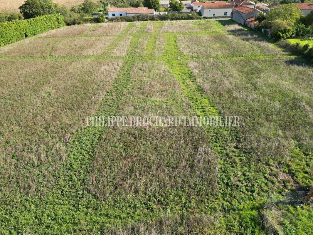 Terrain à MOUZEUIL-SAINT-MARTIN