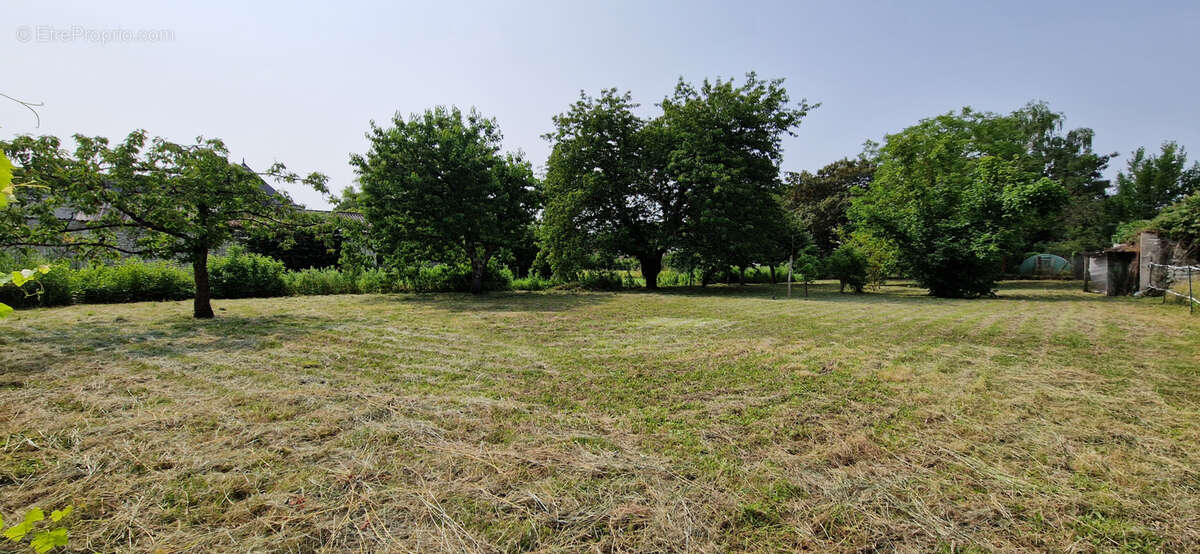 Terrain à CHAMPIGNY-SUR-VEUDE