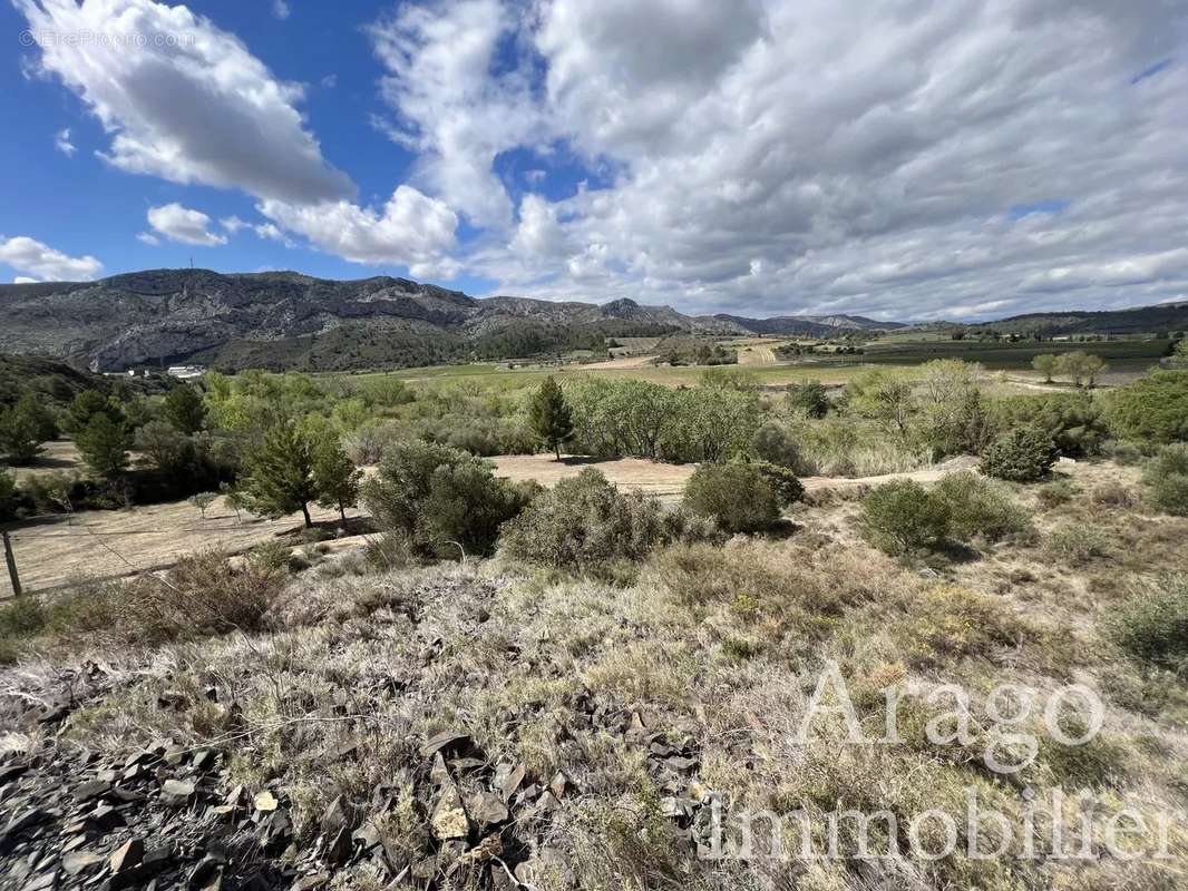 Terrain à CASES-DE-PENE