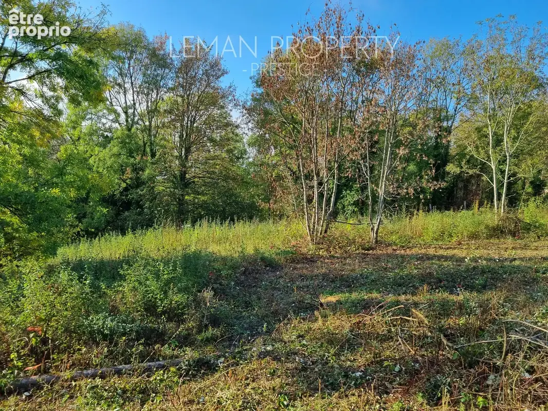 Terrain constructible centre Janvry - photo 2