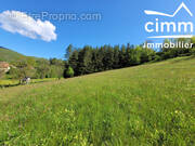 Terrain à LA CHAPELLE-EN-VERCORS