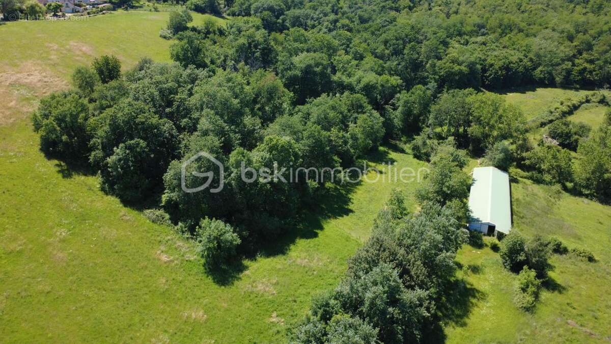  le domaine des possibles infinis  - photo 6