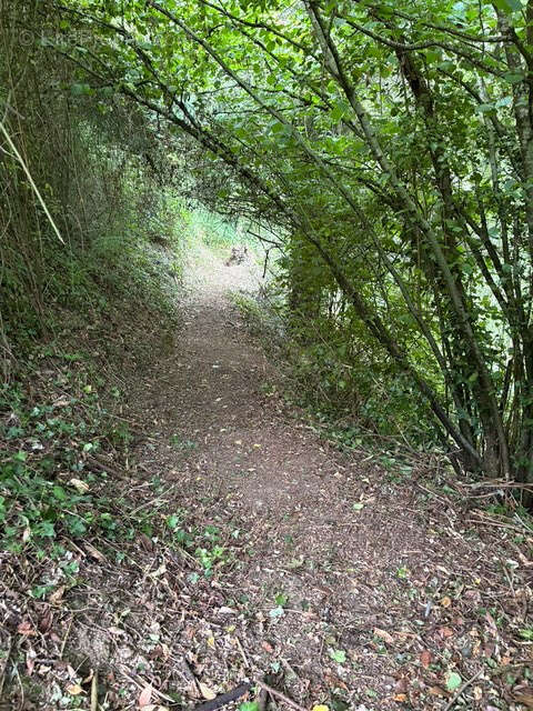 Terrain à AMBRIERES-LES-VALLEES