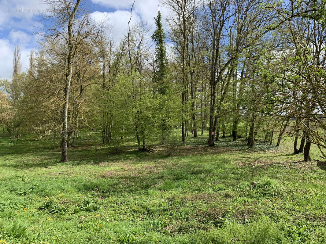 Magnifique terrain de loisirs arboré au bord de l'Eure ! à 2 mn d' Anet - photo 8