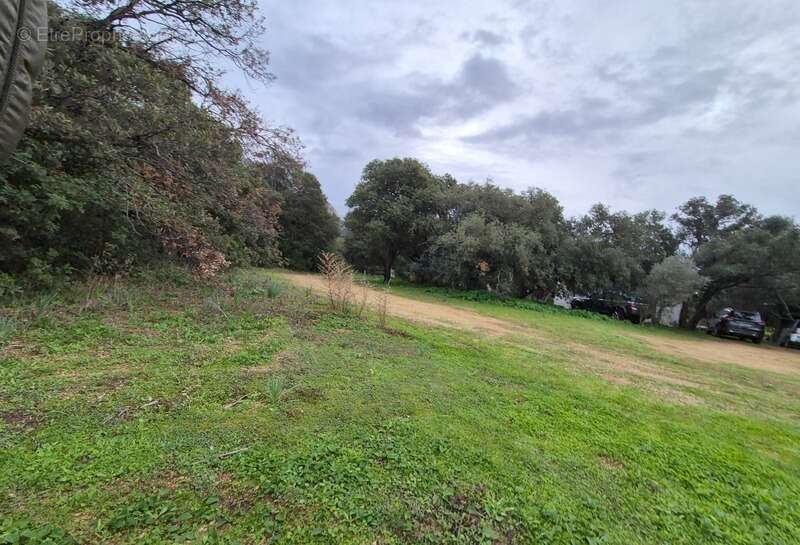 Terrain à vendre  LUMIO (20) - photo 2