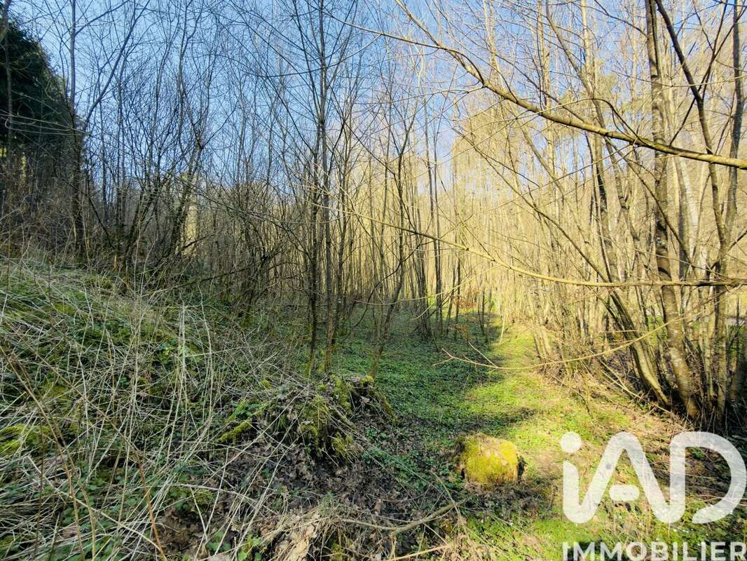 Photo 7 - Terrain à DURSTEL