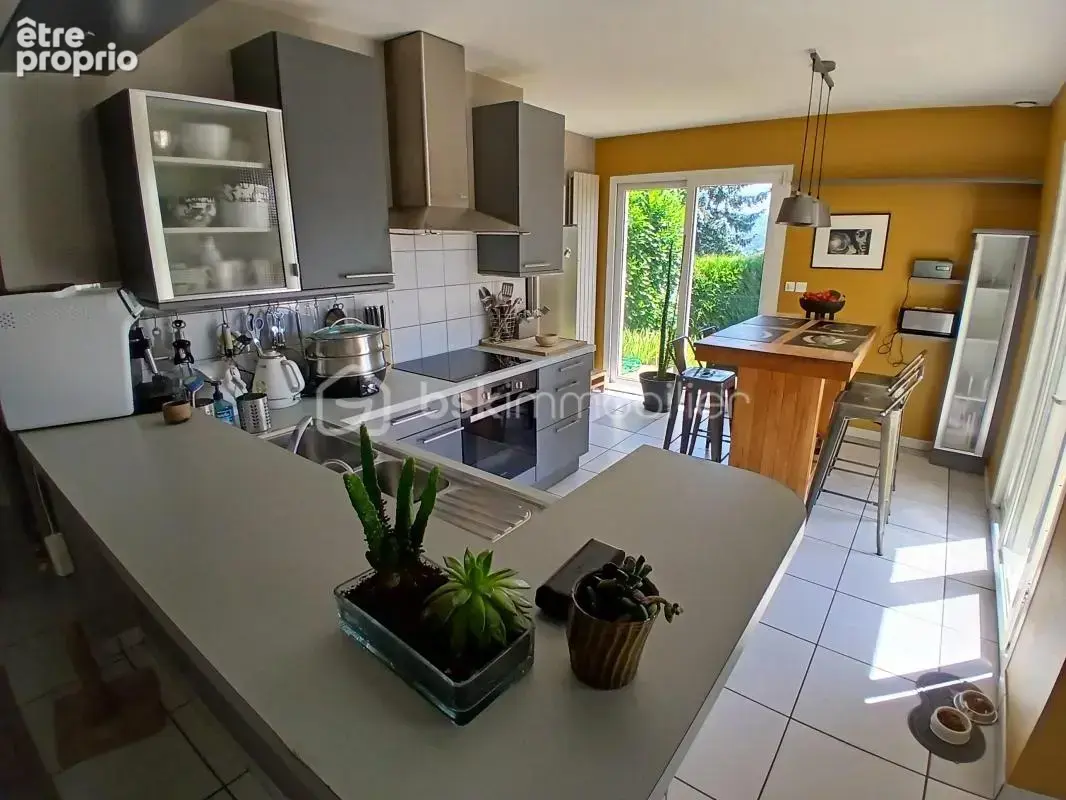 Quartier  tilleroyes, tres belle maison  avec 4 ch. + studio independant, superbe espace vert!!!! - photo 8
