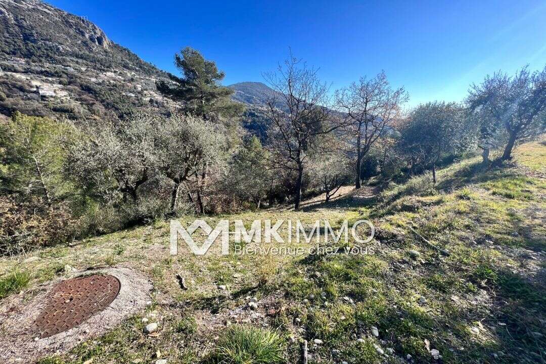 Terrain à CASTAGNIERS