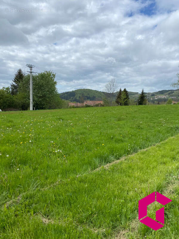 Terrain à LE BRUGERON