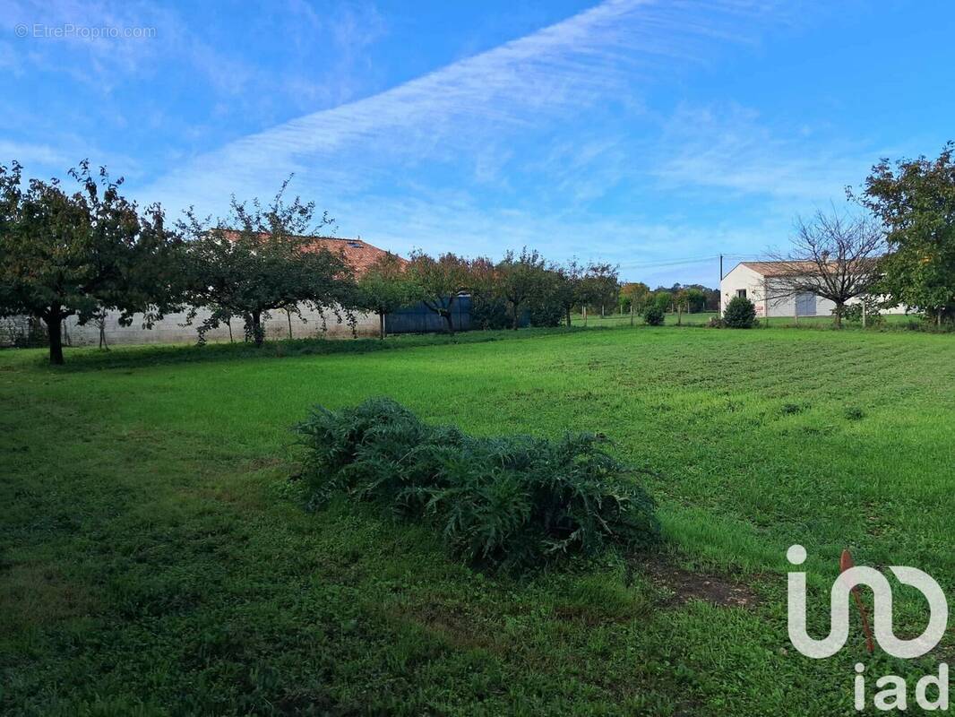 Photo 1 - Terrain à BERCLOUX