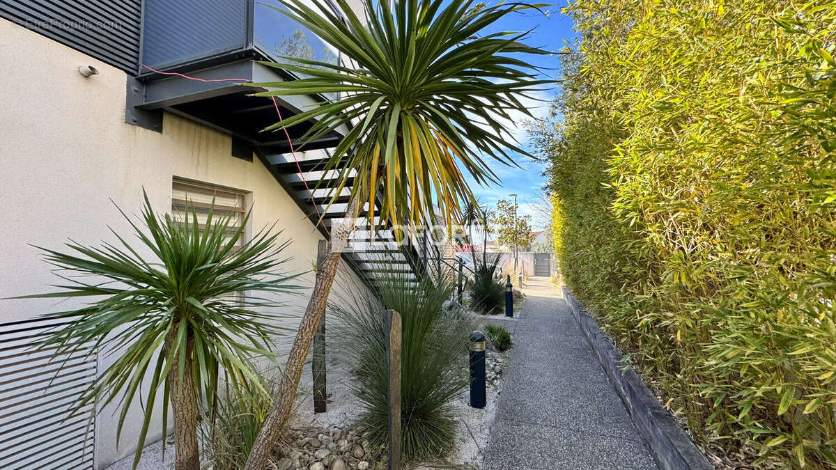 Appartement à CASTELNAU-LE-LEZ