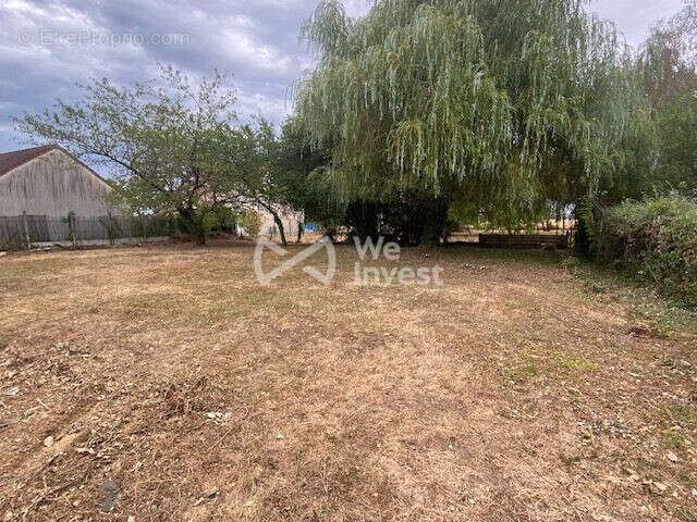 Terrain 538 m² à vendre à Leudeville (91630) - photo 3