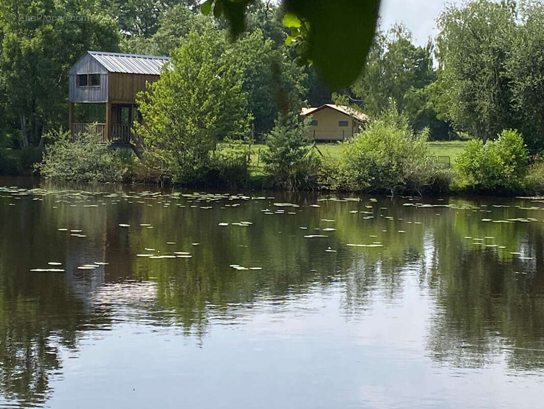 Terrain à SAINT-FLORENT-DES-BOIS