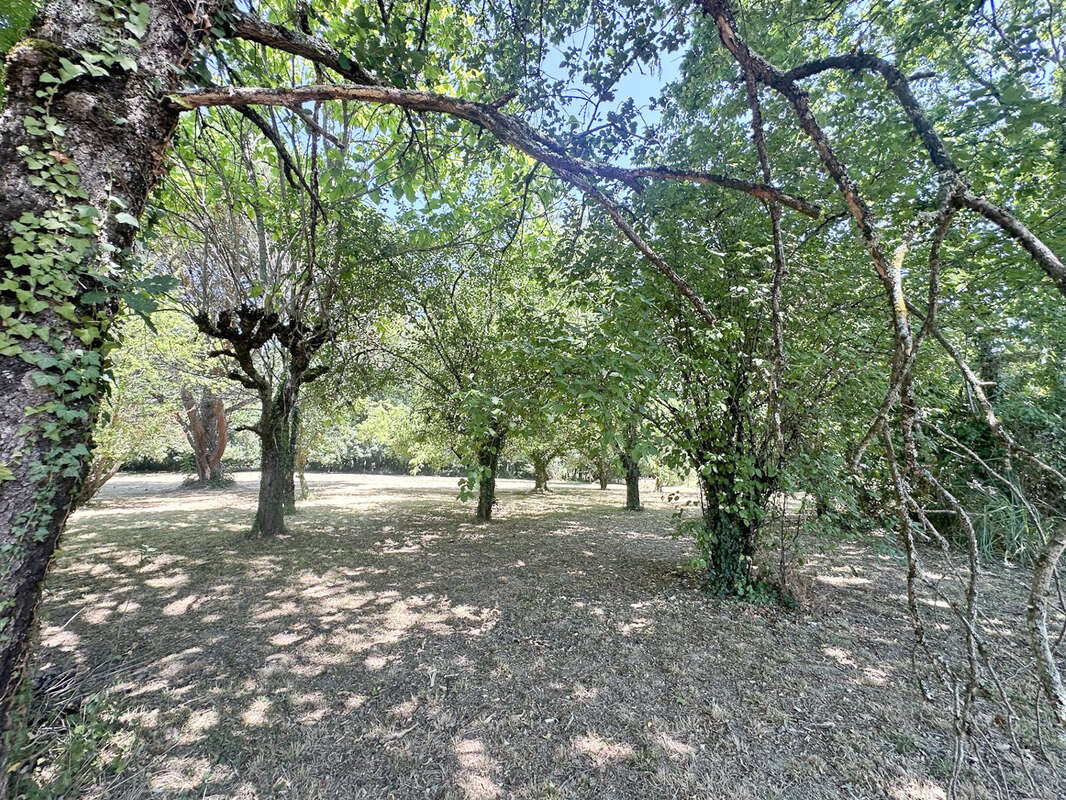 CASTELMAUROU, terrain viabilisé de 1 651 m2 - photo 4