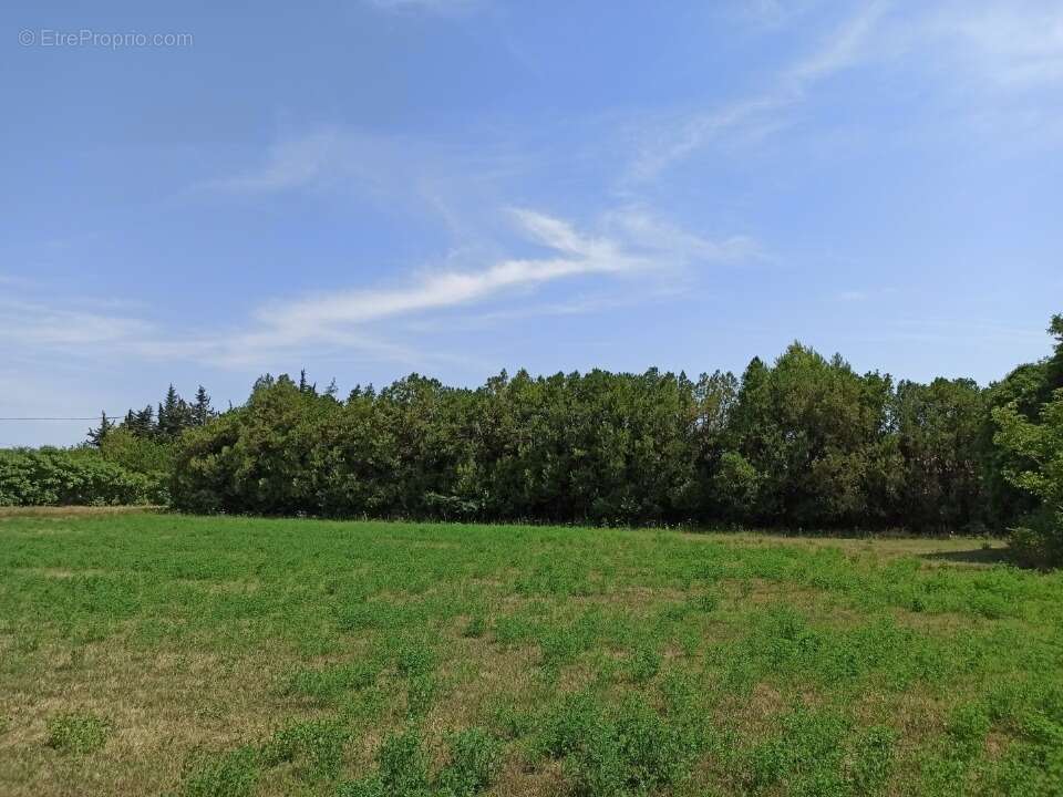 Terrain à SENAS