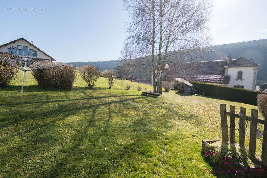 Maison à MAISONS-DU-BOIS-LIEVREMONT