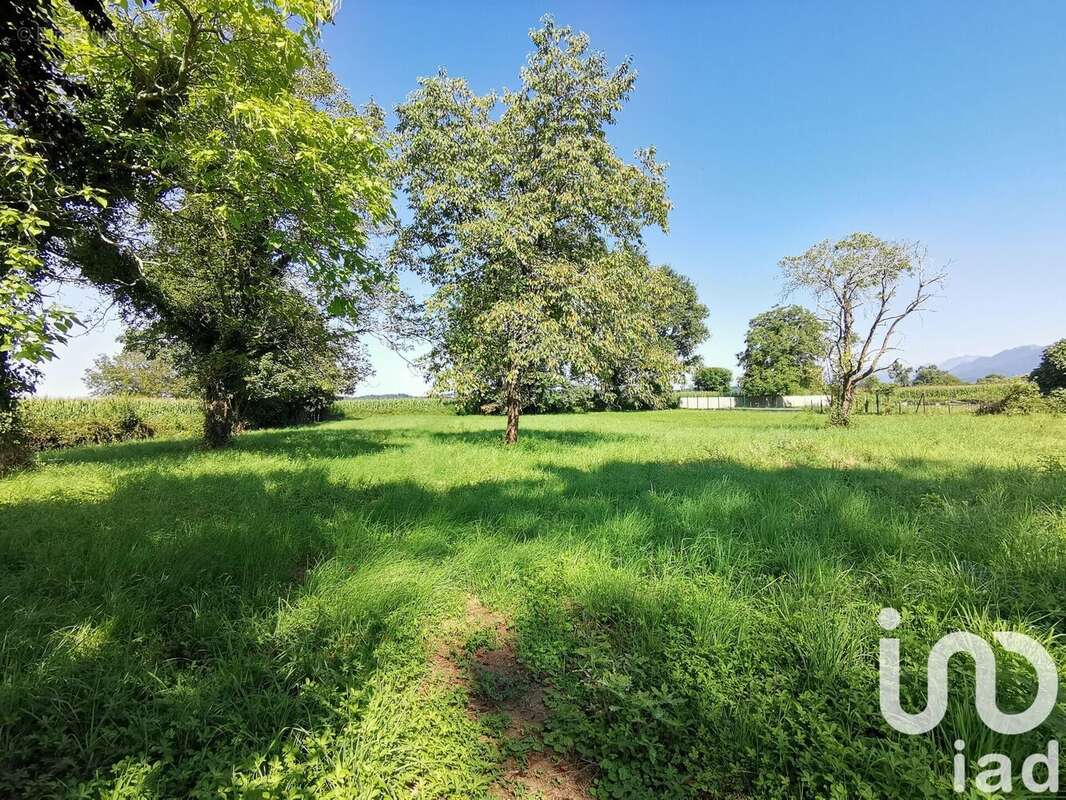 Photo 5 - Maison à AGNOS