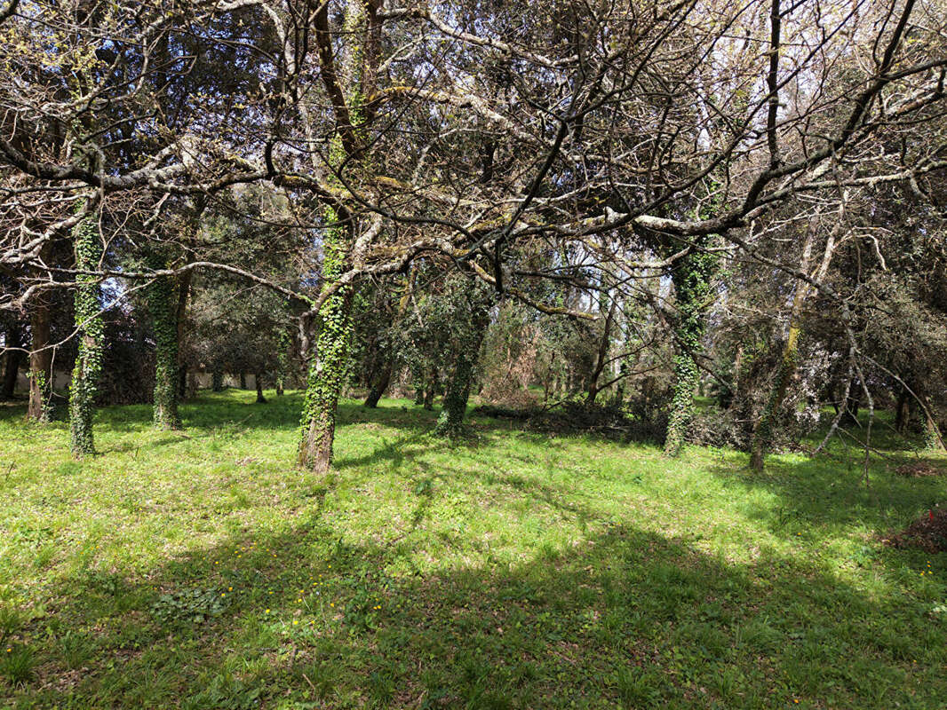 Terrain à MESCHERS-SUR-GIRONDE