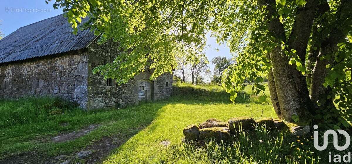 Photo 4 - Maison à ALLY