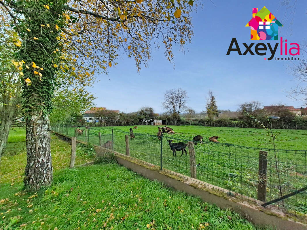 Maison à SAINT-CHRISTOPHE-EN-BRIONNAIS