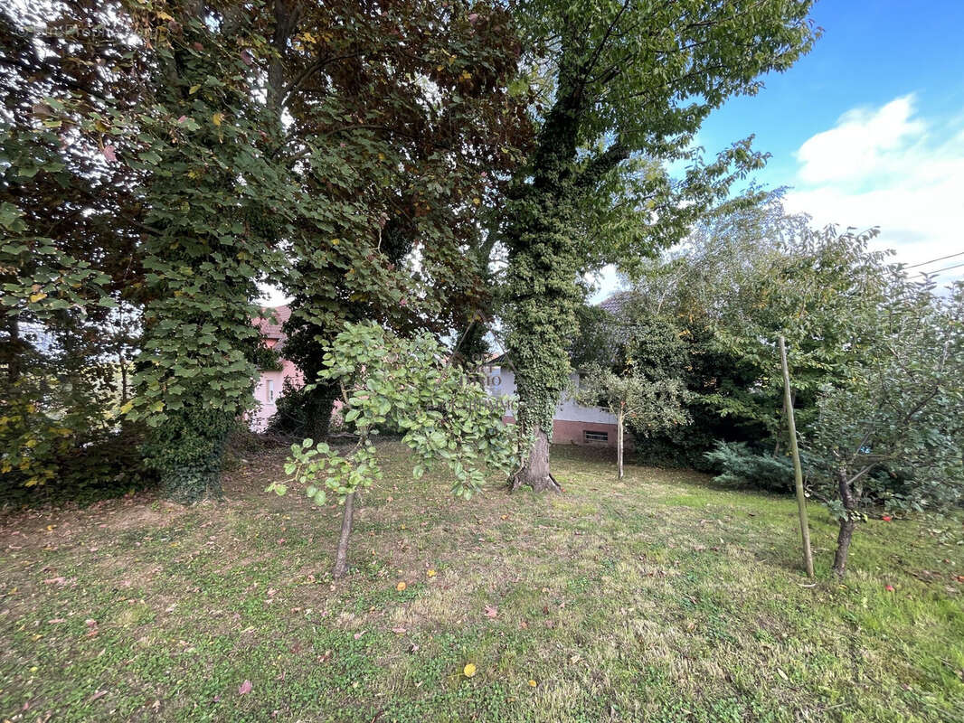Maison 121 m² à Hochfelden  - photo 5