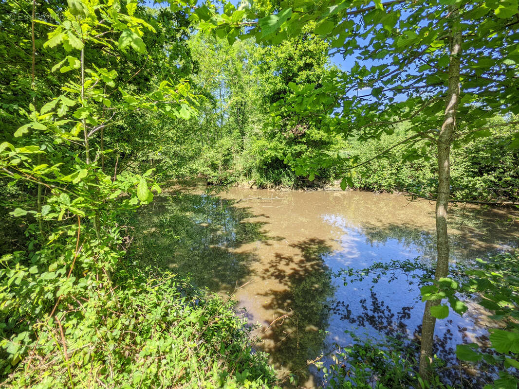 Un Manoir en Brocéliande à acheter avec CHT Immobilier - photo 45