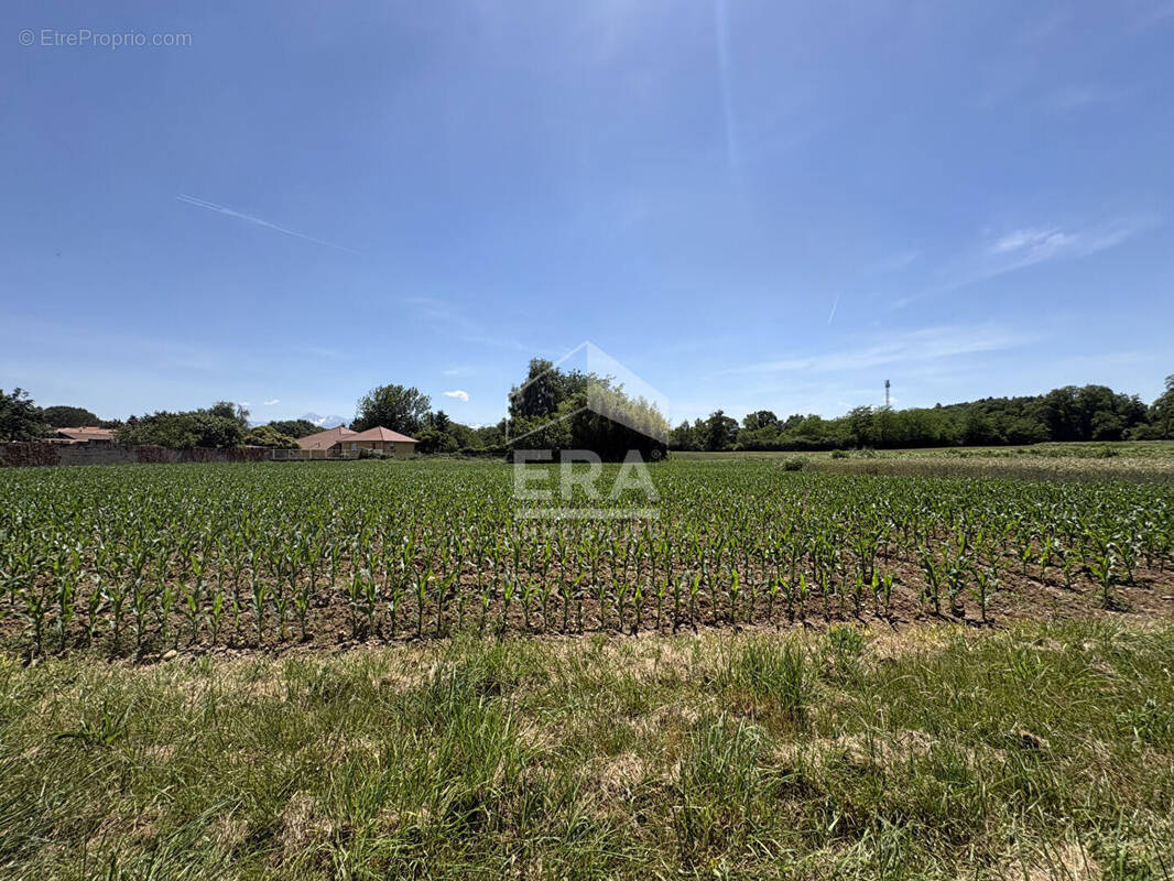 Terrain à JUILLAN