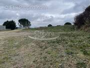 Terrain à LIMOUX