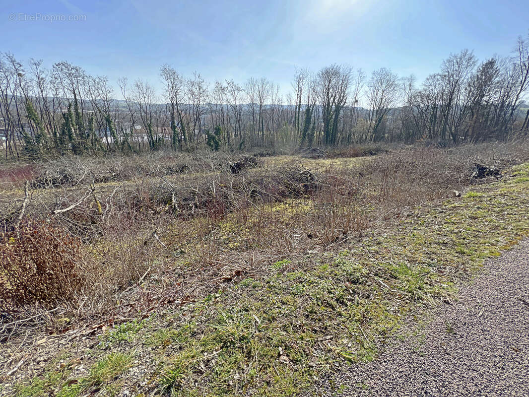À Poussay, terrain avec des droits à bâtir de 919m2 à vendre - photo 2