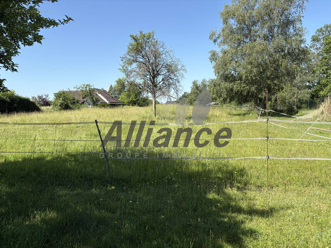 Maison  de  type  f3  sur  froideconche - photo 5