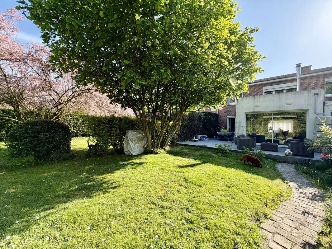 Maison à NEUVILLE-EN-FERRAIN