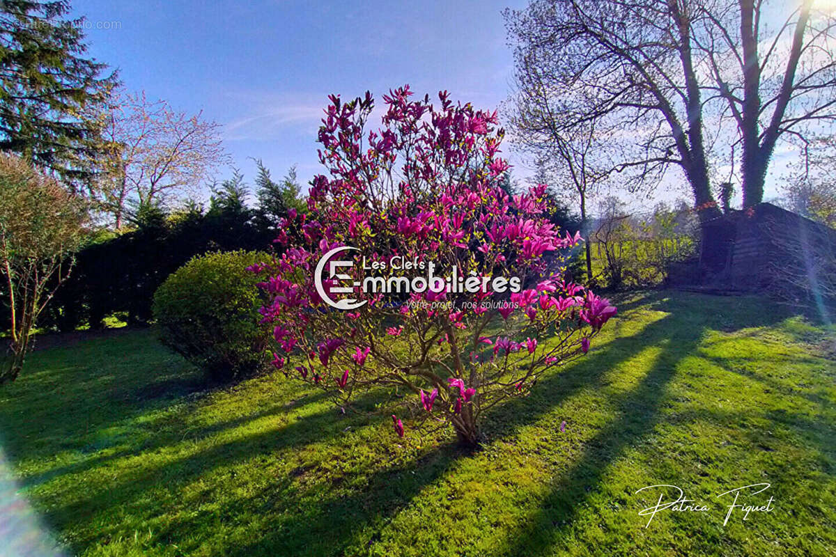 Maison à CHALON-SUR-SAONE