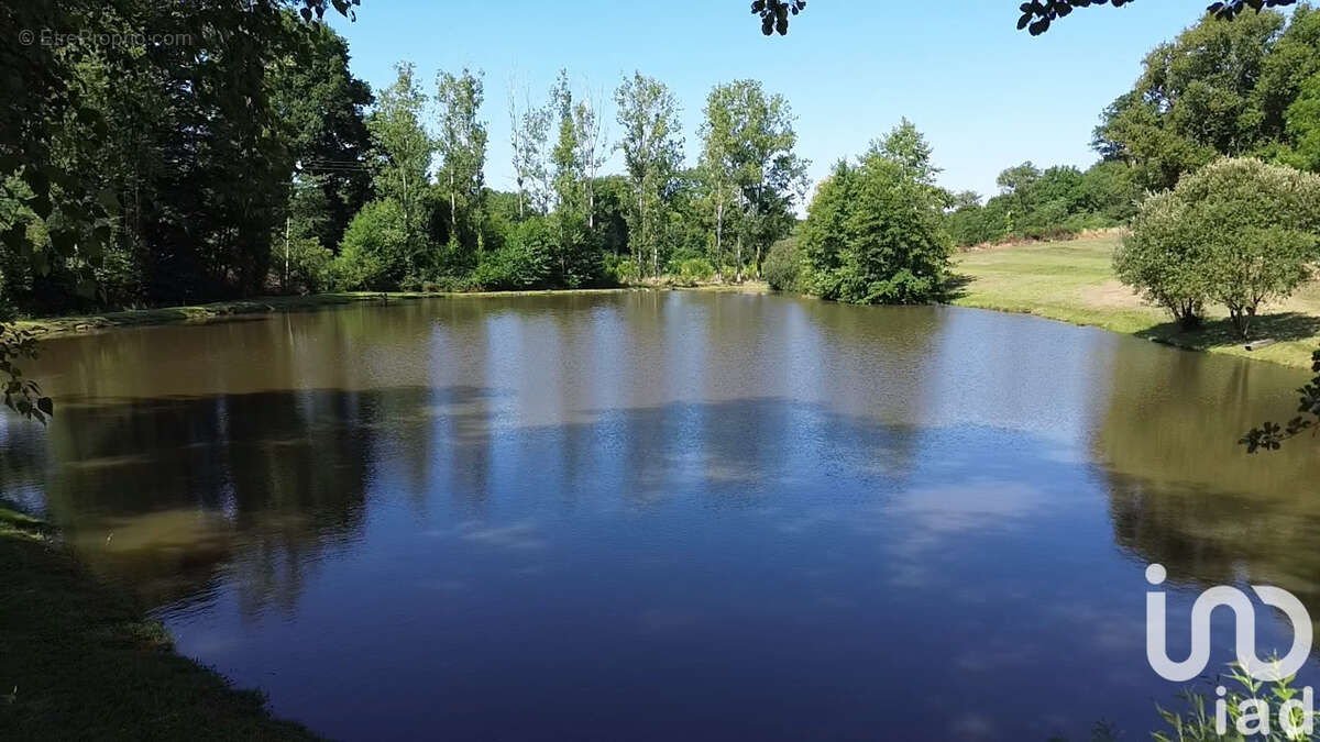 Photo 8 - Terrain à SAINT-DENIS-DE-JOUHET