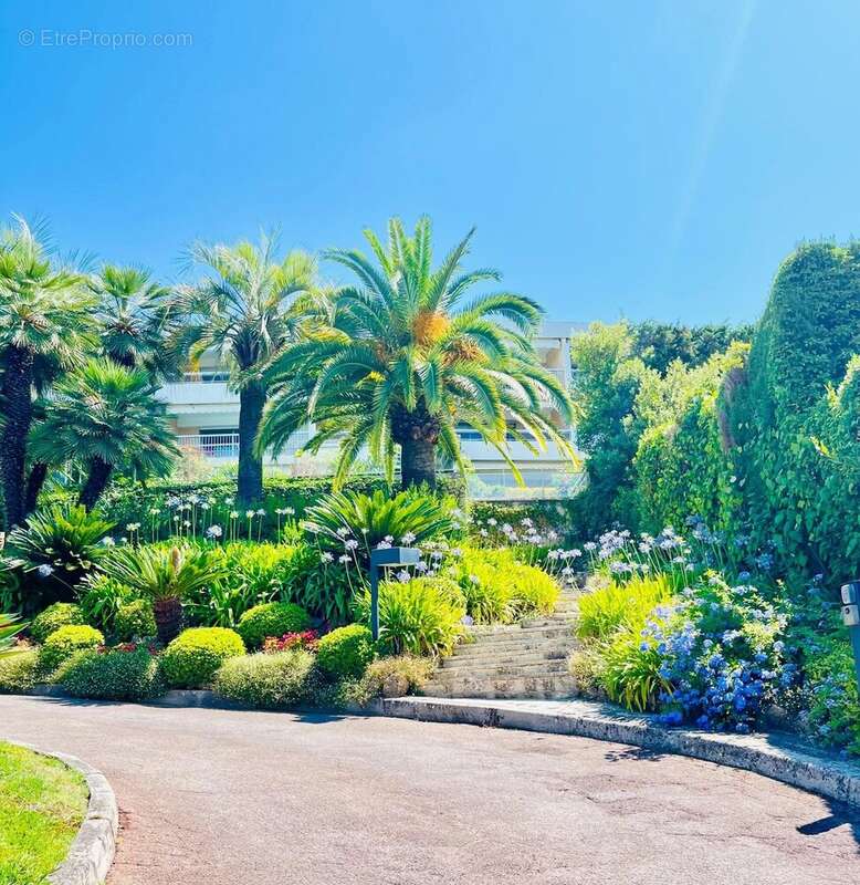 Exclusivite ! le cannet residentiel - grand studio - piscine - photo 2