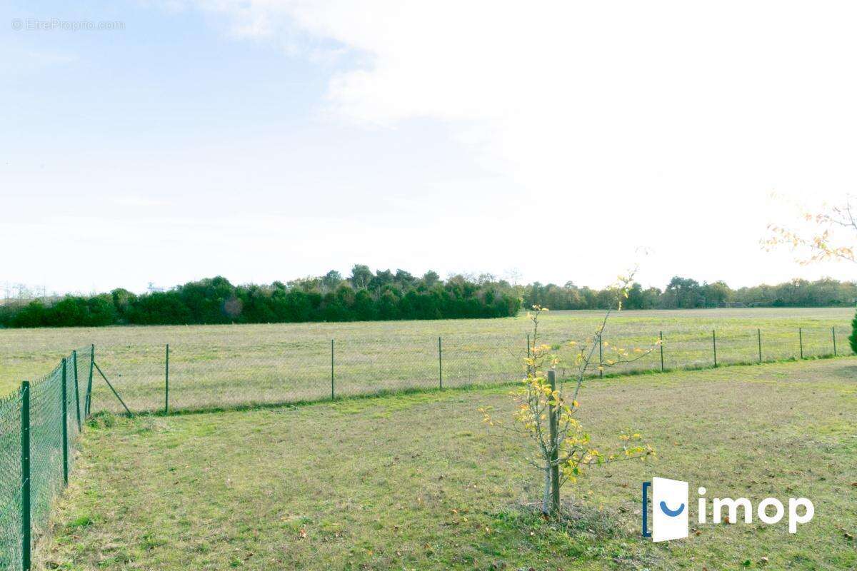 Maison à CHATEAUNEUF-SUR-LOIRE