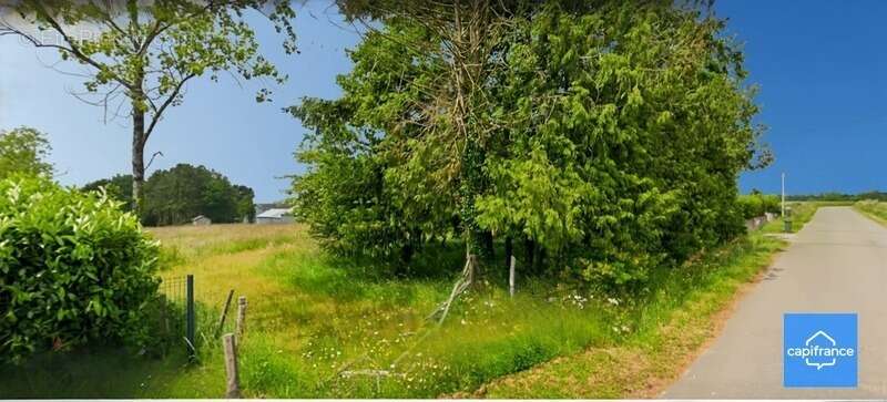 Terrain à MONTENEUF