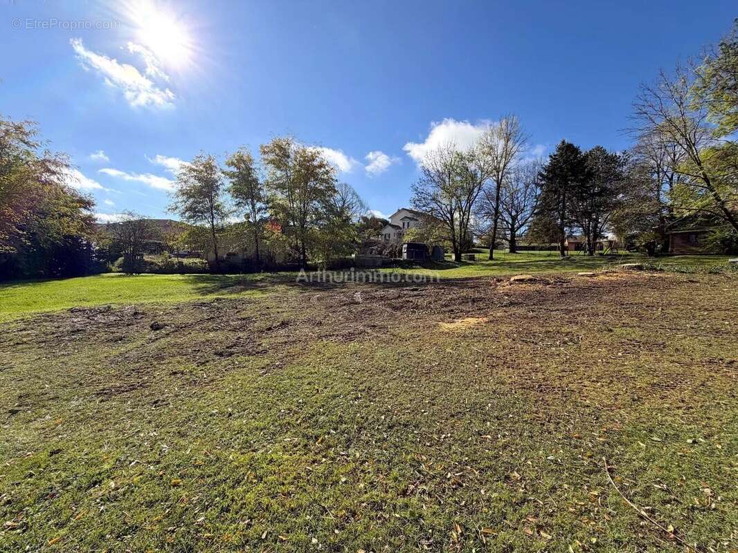 Terrain à SAINT-VICTOR-DE-MORESTEL