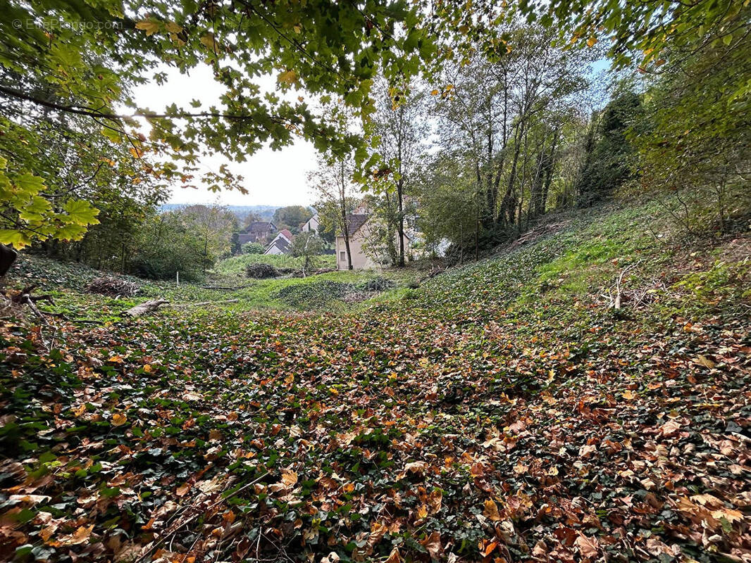 Terrain à VAUX-SUR-SEINE