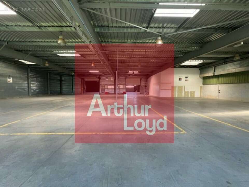 2185 m² à Saint-Etienne-De-Fougeres  - photo 5