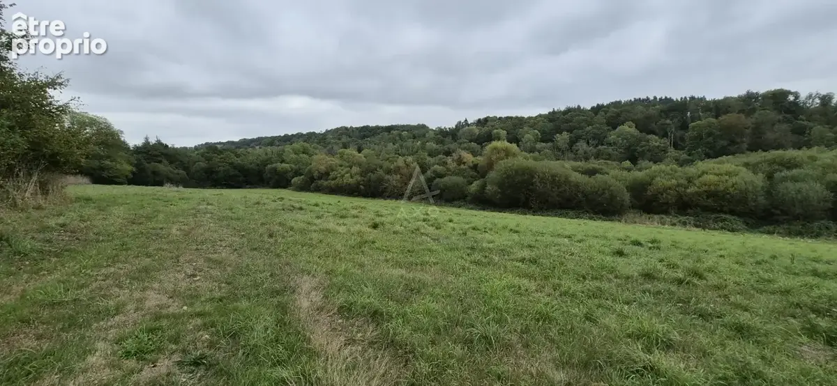 Corps de ferme en pierre  2,3 hectares  propriété équestre  calme absolu - photo 20