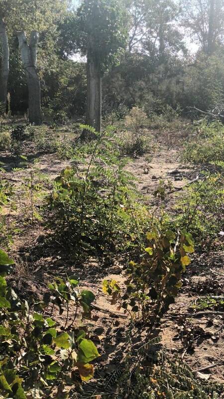 Photo 2 - Terrain à AGDE