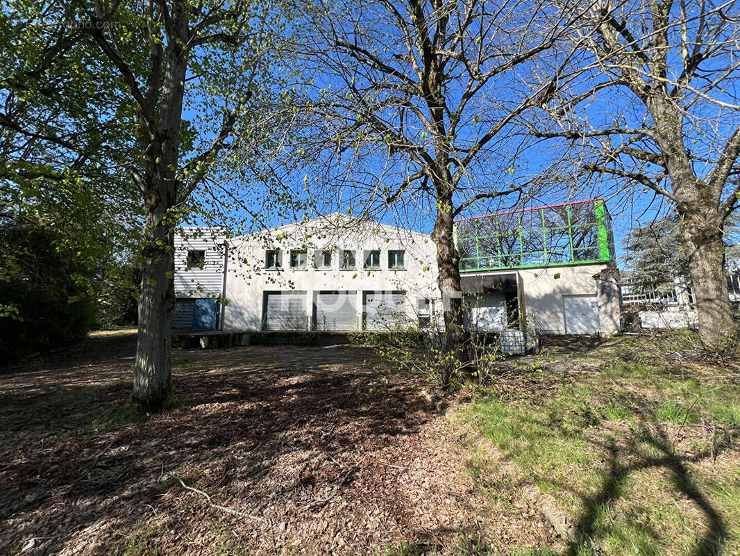 Commerce à MILLY-LA-FORET