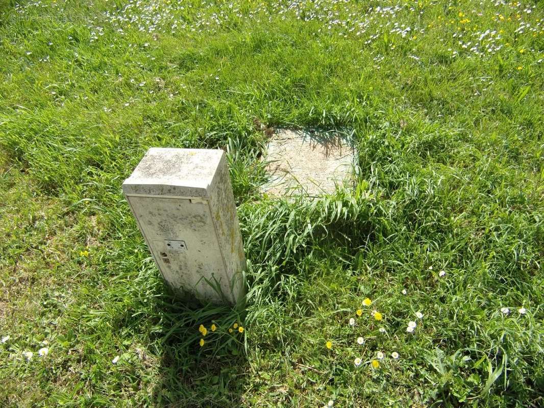 Terrain à VERNOUX-SUR-BOUTONNE