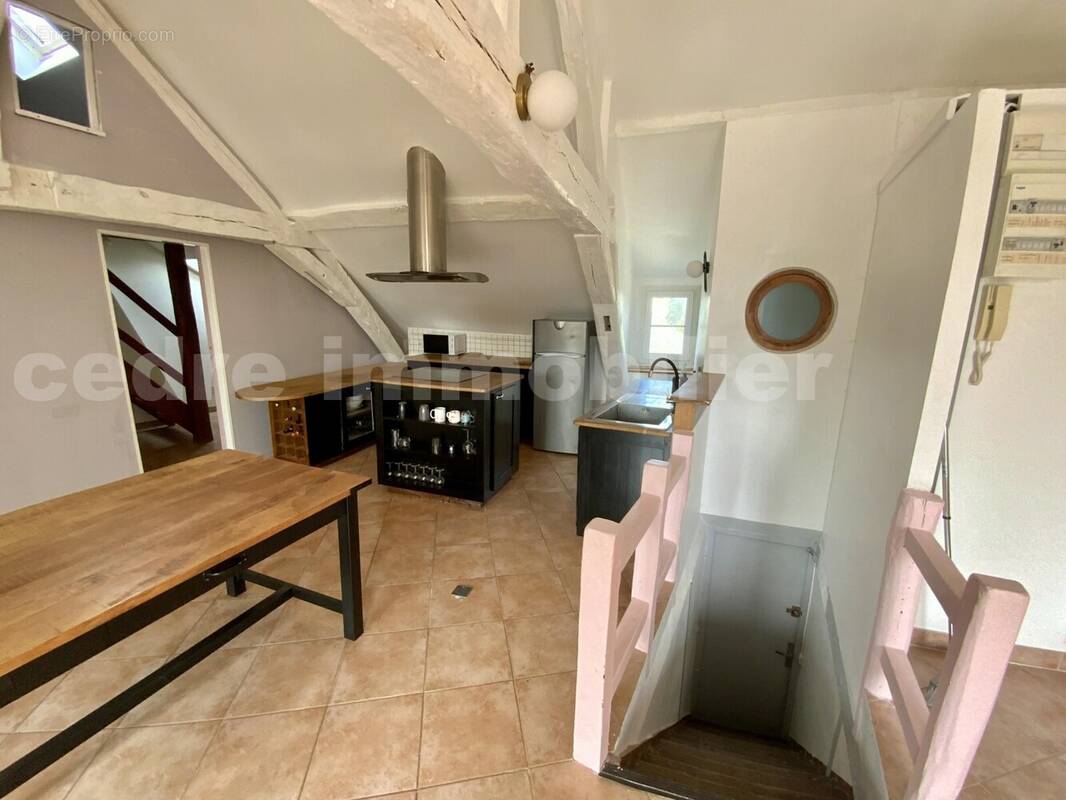 IMG_3399 - Appartement à OLIVET